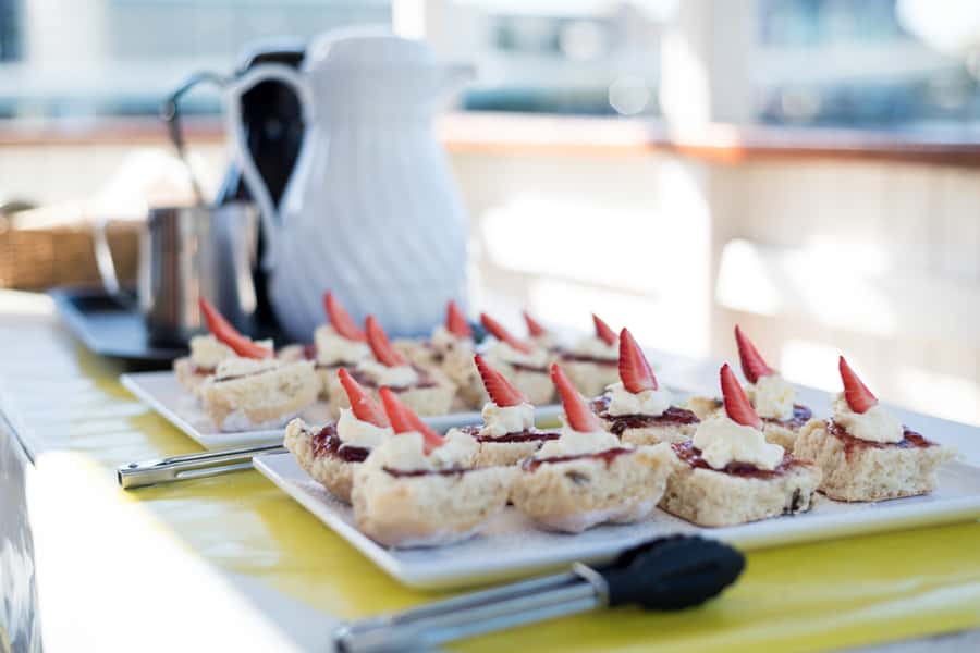 Brisbane: Morning Sightseeing Cruise: 10:30am-12pm (90min) - A gentle start on the Brisbane River