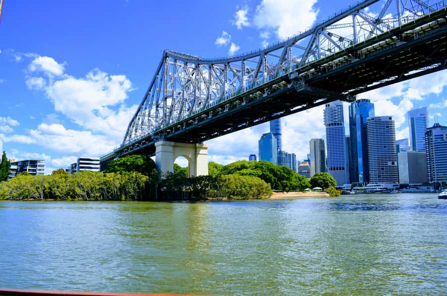 Brisbane: Morning Sightseeing Cruise: 10:30am-12pm (90min) - Why the river is Brisbane’s best guide