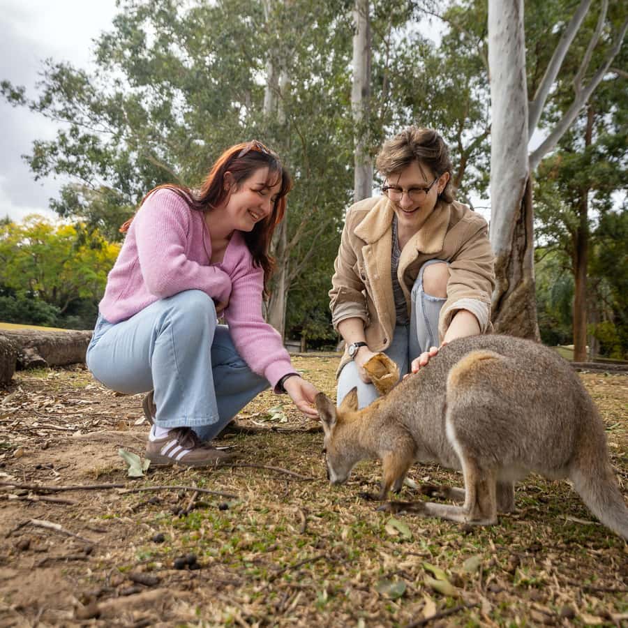 Brisbane River Cruise and Koala Sanctuary Visit - Who will enjoy this day most?