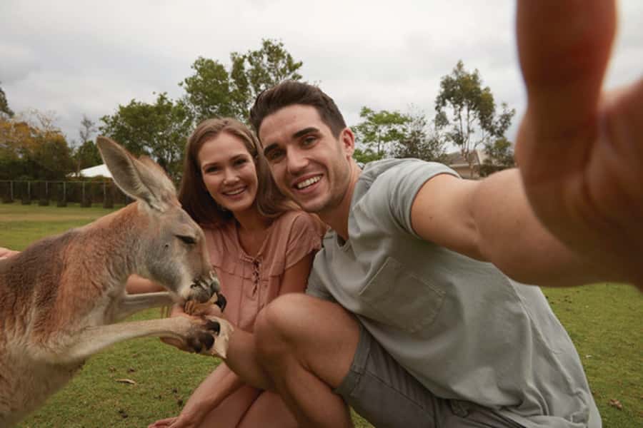 Brisbane River Cruise and Koala Sanctuary Visit - Food, seating, and the feel of the boat