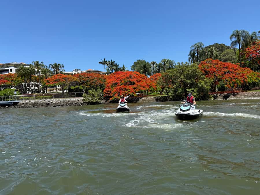 Brisbane River Jet Ski Tour - Wildlife, islands, and changing river views