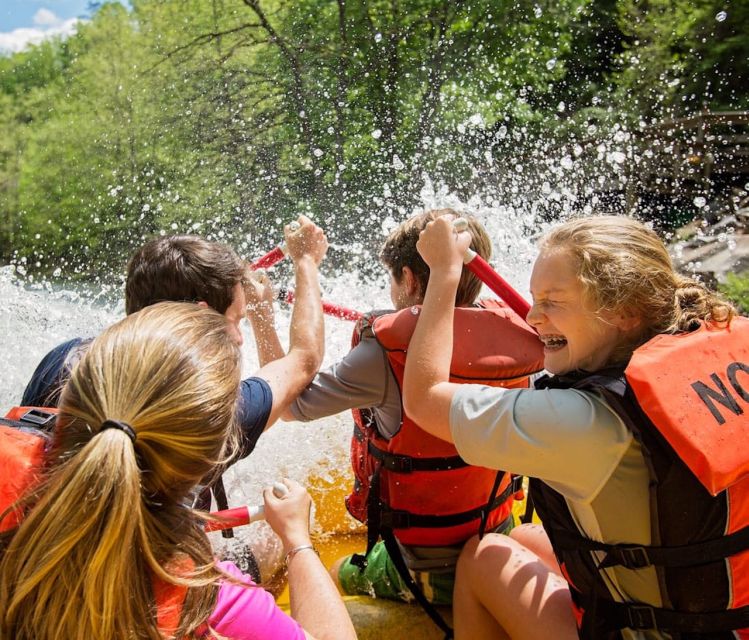 Bryson City: Nantahala River Guided Whitewater Rafting Trip - Who should book this rafting trip?