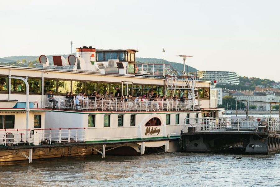 Budapest: Sightseeing Cruise on the Danube - Parliament and Margaret Bridge from the water