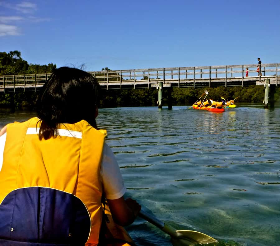Byron Bay: Brunswick River Scenic Kayak Tour - Should you book the Brunswick River kayak tour?