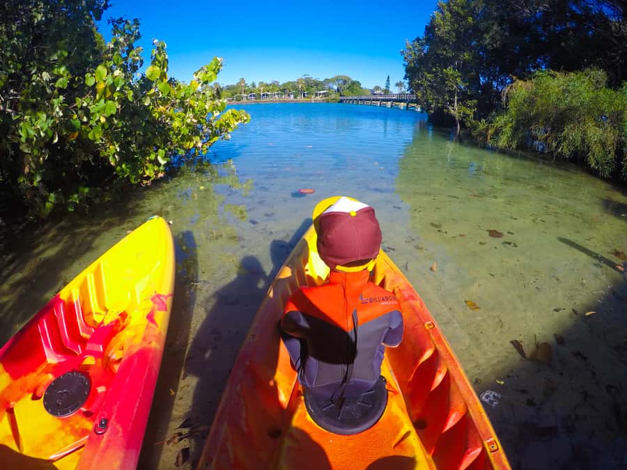 Byron Bay: Brunswick River Scenic Kayak Tour - Wildlife, mangroves, and local stories