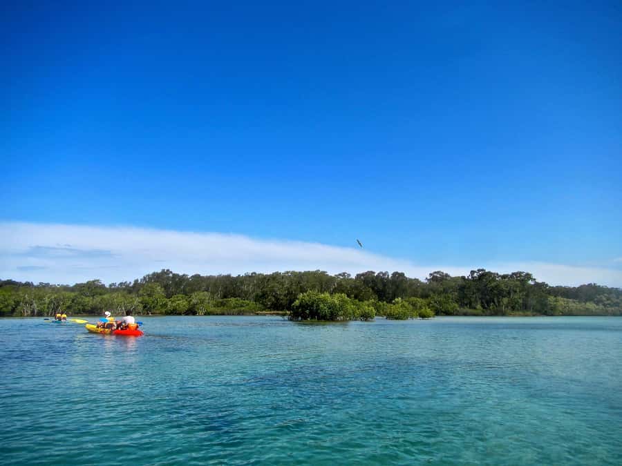 Byron Bay: Brunswick River Scenic Kayak Tour - Is $42 good value?