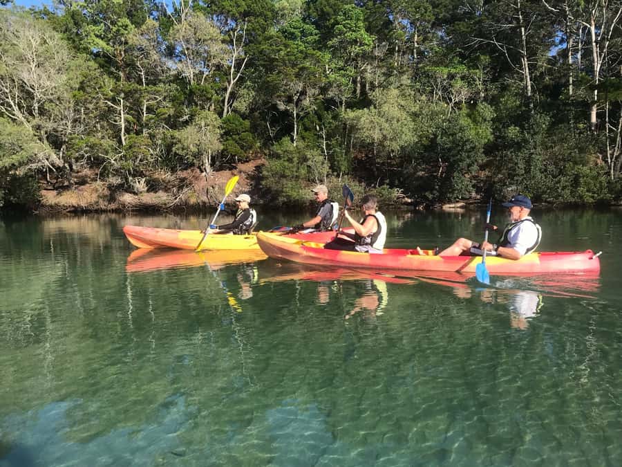 Byron Bay: Brunswick River Scenic Kayak Tour - Who will enjoy this kayak tour?