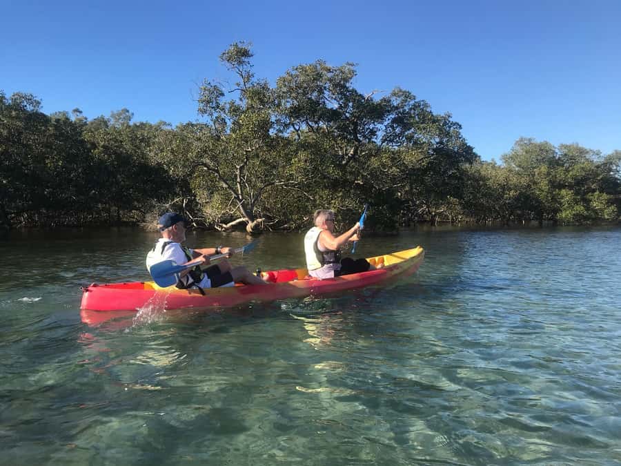 Byron Bay: Brunswick River Scenic Kayak Tour - How to prepare for the morning