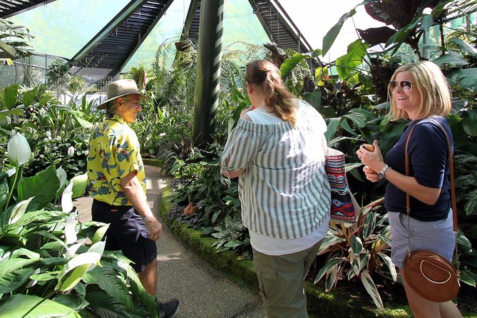 Cairns Combo: Cairns River Cruise & Small group Cairns City Sights - Palm Cove closes the day by the sea