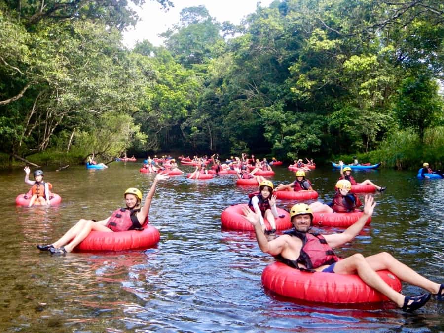 Cairns or Northern Beaches: Rainforest River Tubing - A rainforest float with just enough action