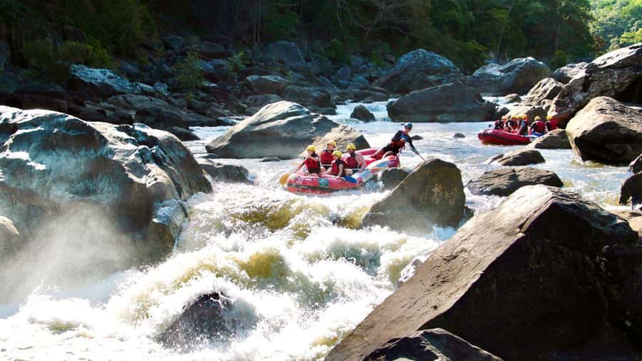 Cairns: Raging Thunder Barron Gorge River Rafting Trip - Rainforest views between the splashes