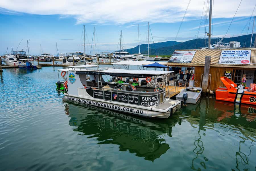 Cairns: Sightseeing River Boat Safari with Soft Drinks - Mangroves, creeks, and mountain views