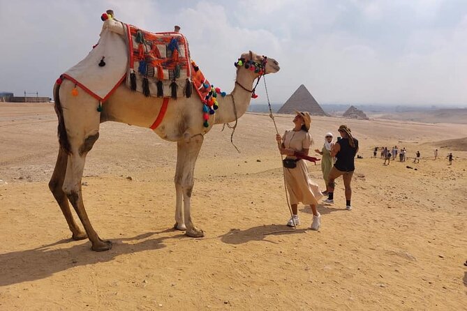 Cairo Private layover tour Giza pyramids,sphinx&Nile Felucca Boat - Seeing the Pyramids of Giza up close