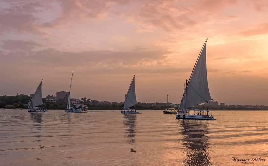 Cairo: Private Nile Felucca Adventure / Round-Trip Transfer - Is $30 good value?