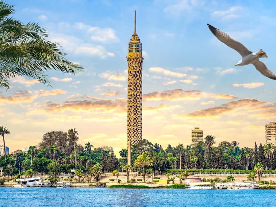 Cairo: Sunset Cairo Tower Tour With Nile River Dinner Cruise - From the tower to the Nile