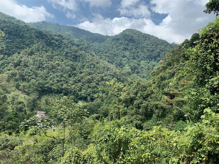 Cali: Tour of Waterfall in Pance River - Chorrera del Indio - Why Mateo makes a difference