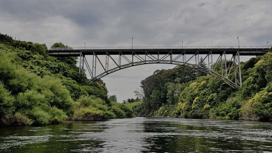 Cambridge, Matamata, Waitomo: 1-Hour Ecological River Cruise - Cambridge Gorge and the narrow river sections