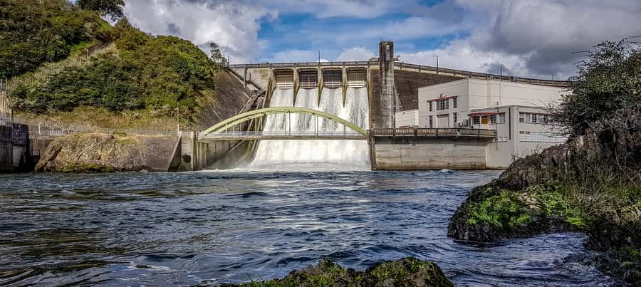 Cambridge, Matamata, Waitomo: 1-Hour Ecological River Cruise - How much excitement should you expect?