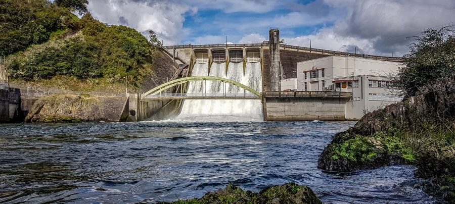 Cambridge, Matamata, Waitomo: 1-Hour Ecological River Cruise - Who will enjoy this Cambridge cruise?