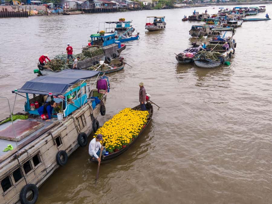 Can Tho: A Real Mekong Tour, Floating Market, Cacao & Life's - Key points to know before booking