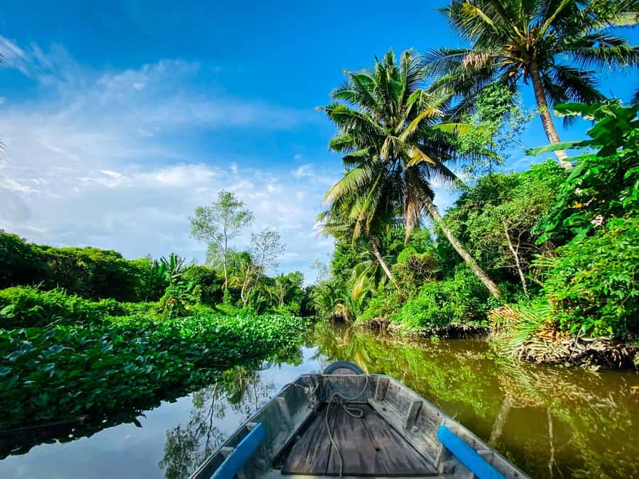 Can Tho: A Real Mekong Tour, Floating Market, Cacao & Life's - Cai Rang floating market before the crowds build