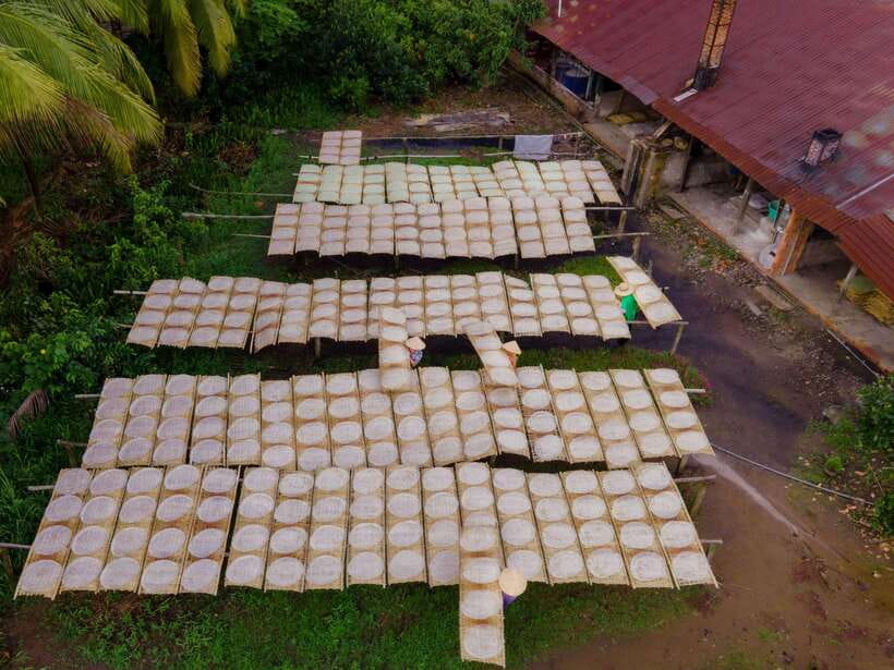 Can Tho: Explore Mekong, Floating Market, Cacao & Local Life - A village walk through tropical gardens