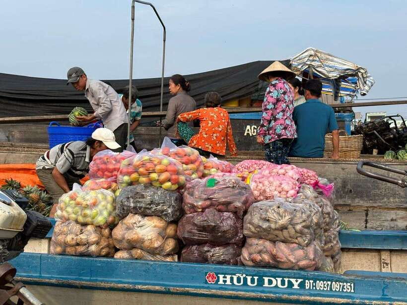 Can Tho: Floating Market, Canal, Cacao Farm & Mekong' Life - Finishing at an organic cacao farm