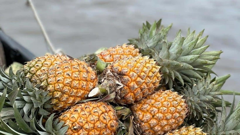 Can Tho: Floating Market explore local life, Mekong farm - Key details before you book
