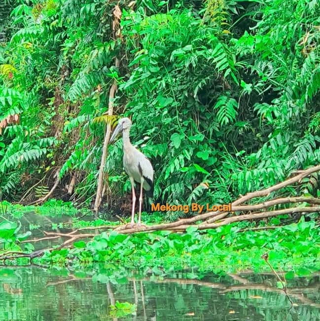 Can Tho: The Untouched Mekong for Nature Souls - Key points at a glance