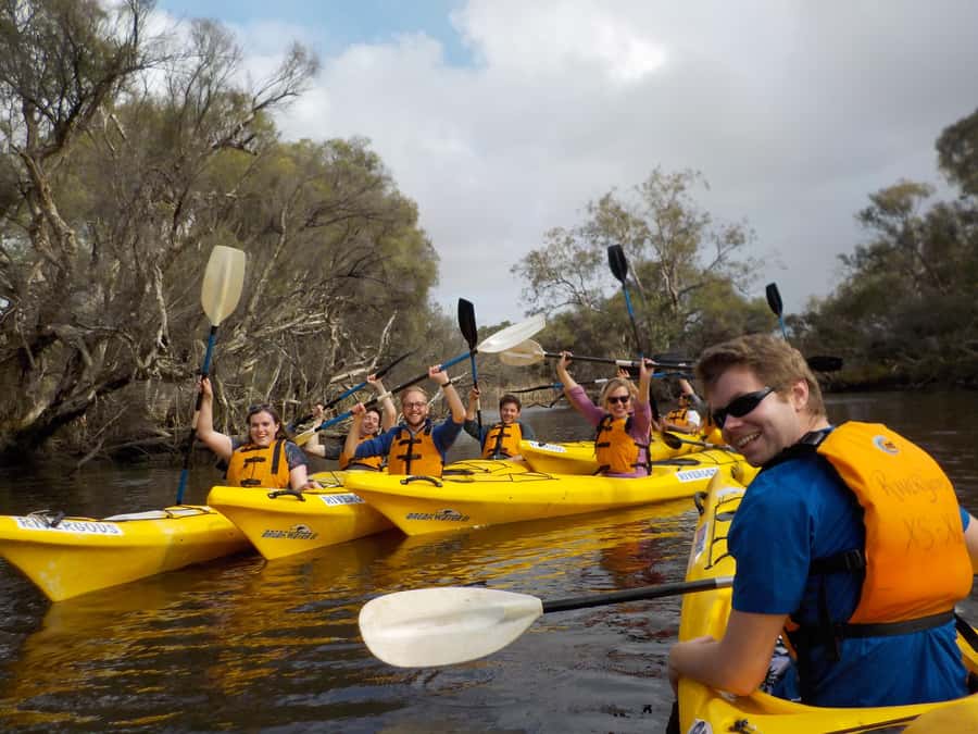 Canning River Half-Day Kayak Wildlife Tour - Paddling among paperbark trees and water birds