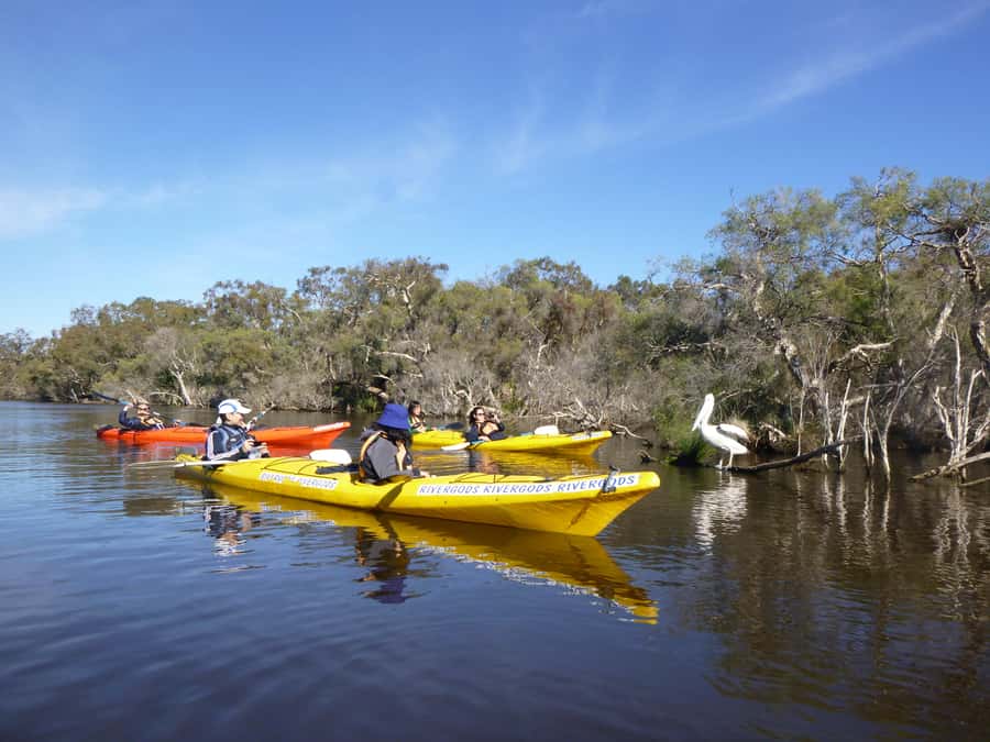 Canning River Half-Day Kayak Wildlife Tour - Getting started with Rivergods