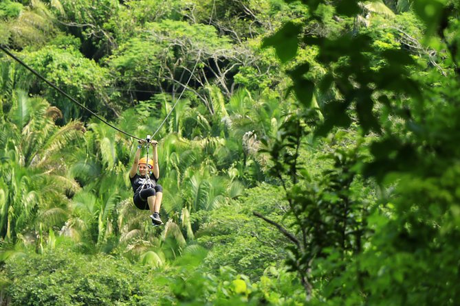 Canopy River Zipline Tour and Mule Ride - Key points before you book