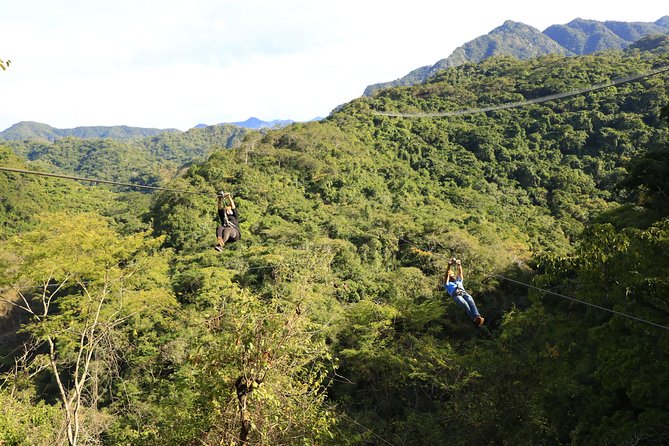 Canopy River Zipline Tour and Mule Ride - The ziplines are the main event