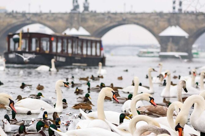 Charles Bridge: River Boat Cruise & Guided Tour ️with PragueWay - Charles Bridge Museum at the eastern end