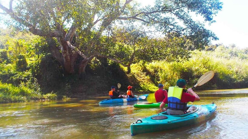 Chiang Mai: 15 km Leisure River Kayaking at Mae Ngat forest - Who Will Enjoy This More