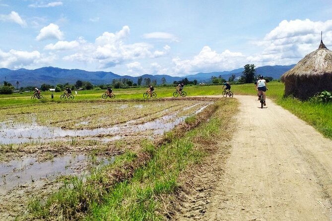 Chiang Mai Biking & River Kayak : Gentle Thrills in a Lush Valley - What the $81.47 price really covers