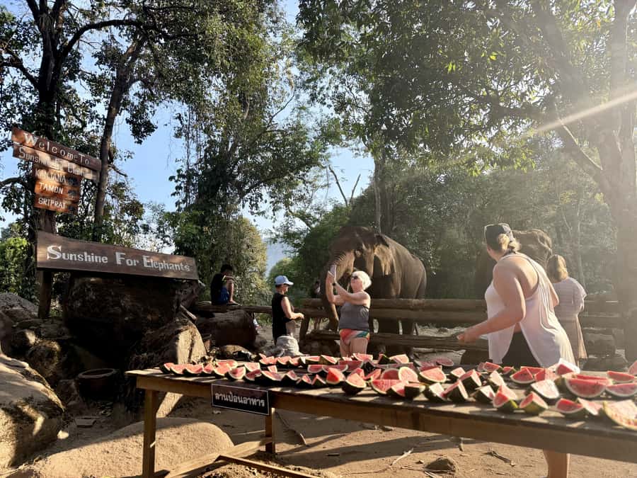 Chiang Mai Half-Day Adventure: River Tubing & Waterfall - Staying Overnight in the Forest Cabin
