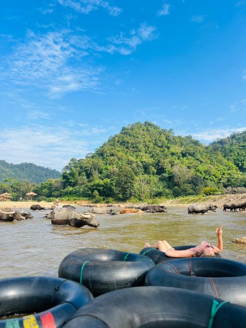 Chiang Mai Half-Day Adventure: River Tubing & Waterfall - Who Will Enjoy This Chiang Mai Adventure