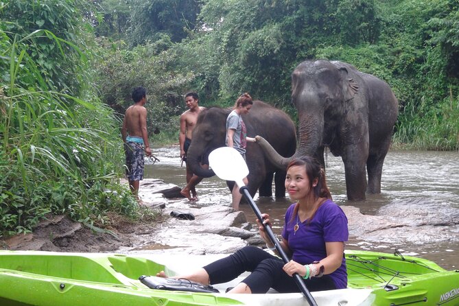 Chiang Mai: Jungle Kayak Adventure with Rapids & Elephants - Elephants, birds, and the quieter stretches