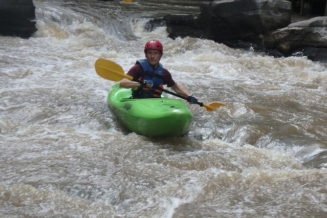 Chiang Mai: Jungle Kayak Adventure with Rapids & Elephants - Who will enjoy this Mae Wang outing?