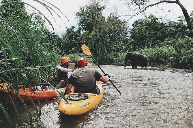 Chiang Mai: Jungle Kayak Adventure with Rapids & Elephants - Starting on the upper Mae Wang River