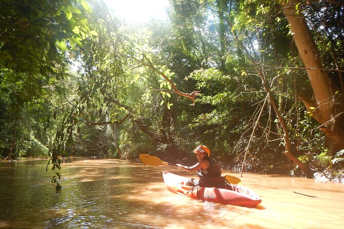 Chiang Mai : Kayak the Jungle Rivers of Chiang Dao Valley! - Bamboo, birds, and local river life