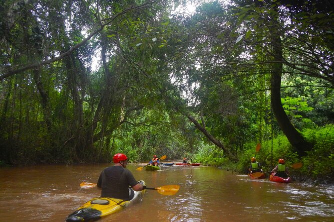 Chiang Mai : Kayak the Jungle Rivers of Chiang Dao Valley! - From hotel pickup to the pro-shop briefing