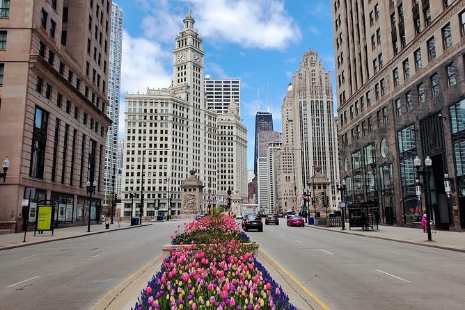 Chicago City Tour with Architecture River Cruise Option - Museum Campus and the skyline panorama