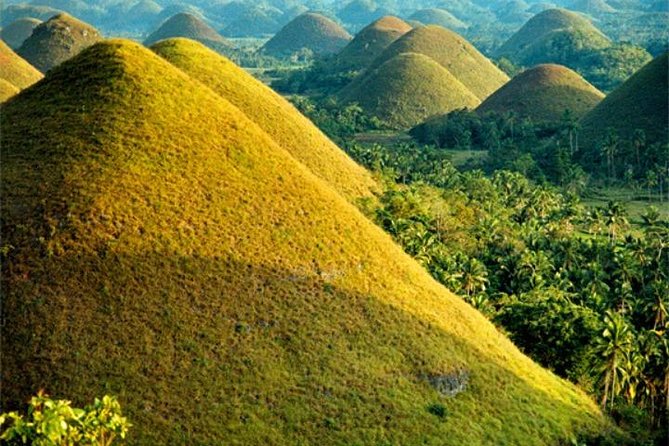 Chocolate hills tour with Tarsier & Loboc river Buffet Lunch (half-day tour) - The Chocolate Hills viewpoint and its steep climb