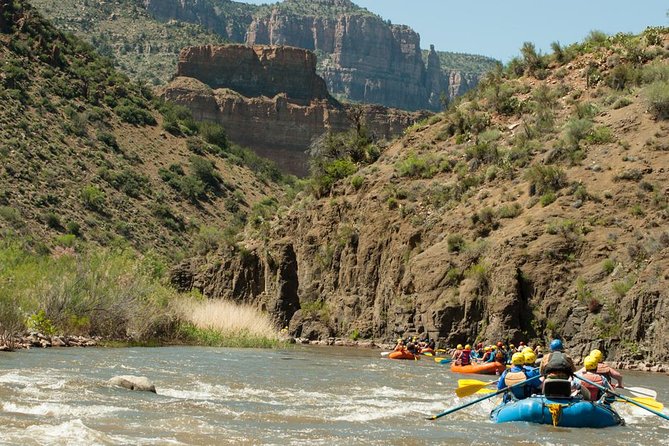 Classic Salt River Raft Trip - Who should book this Salt River trip