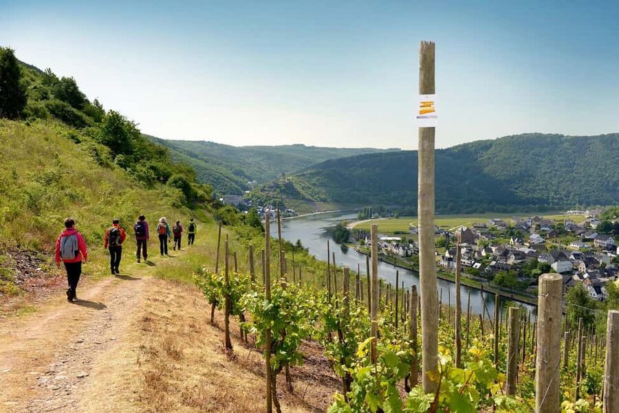 Cochem, Moselle: Wine experience hike with boat trip - Key points at a glance