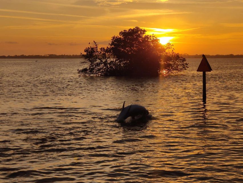 Cocoa Beach: Banana River Sunset Cruise - Who should book the Banana River cruise