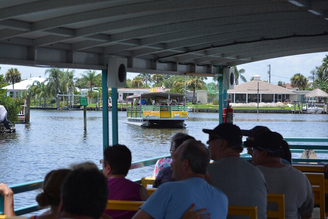Cocoa Beach Dolphin and Wildlife Tour - Dolphins, manatees, and the luck factor