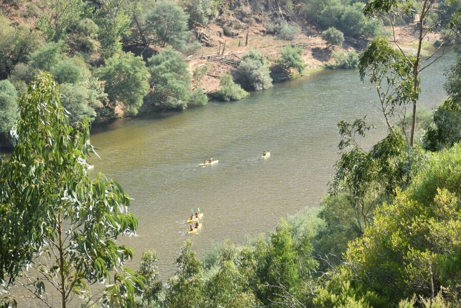 Coimbra: Mondego River Kayaking Tour - The $35 price and what you receive